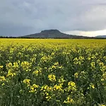 Bazaltorgona * Kisapati