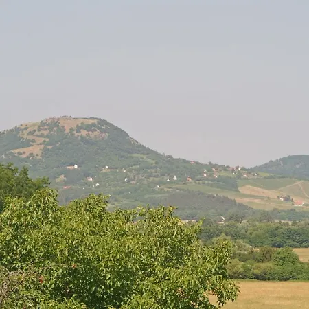 Bazaltorgona