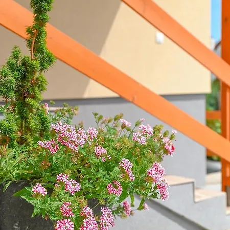 Bazaltorgona Kisapati