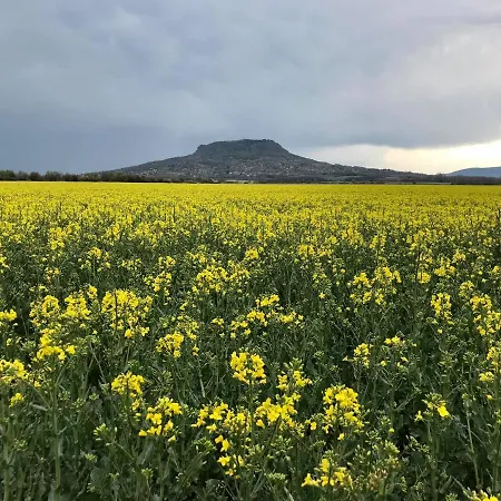 Bazaltorgona * Kisapati