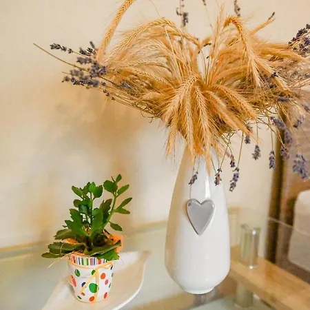 Διαμέρισμα Bazaltorgona