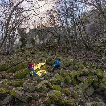 Bazaltorgona * Kisapati