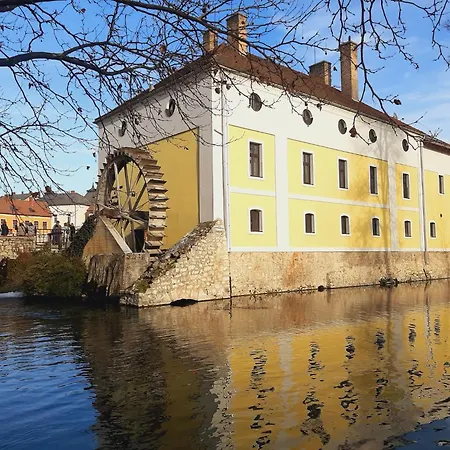 Apartament Bazaltorgona