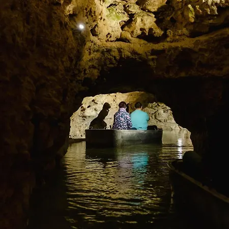 Bazaltorgona Διαμέρισμα Kisapati