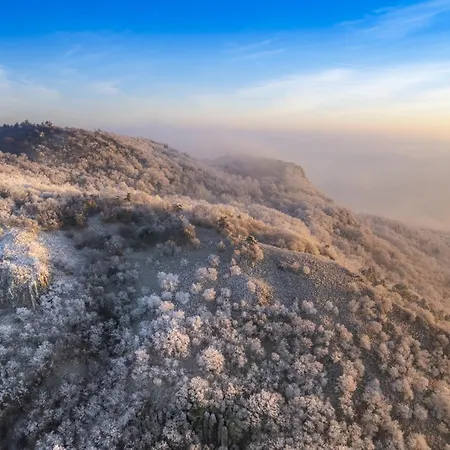 Διαμέρισμα Bazaltorgona *