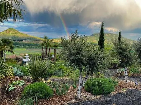 Bazaltorgona Διαμέρισμα