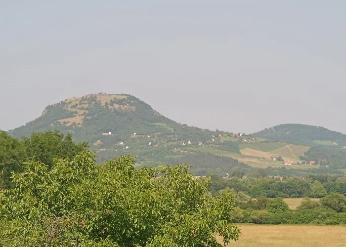 Bazaltorgona