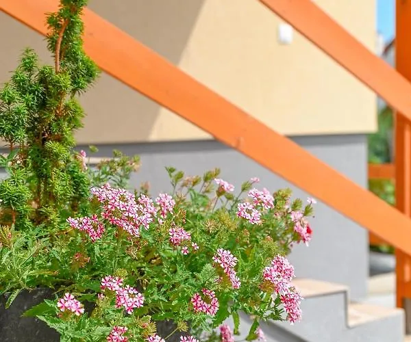 Bazaltorgona Kisapati