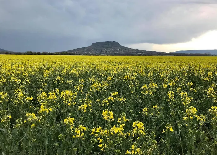 Bazaltorgona * Kisapati