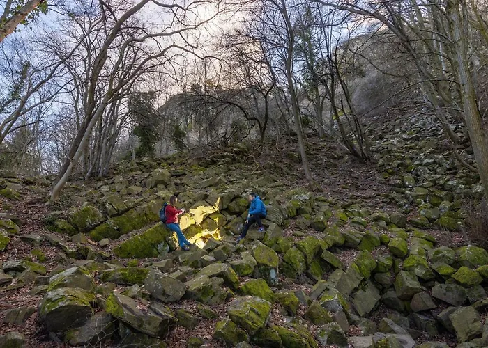 Bazaltorgona * Kisapati