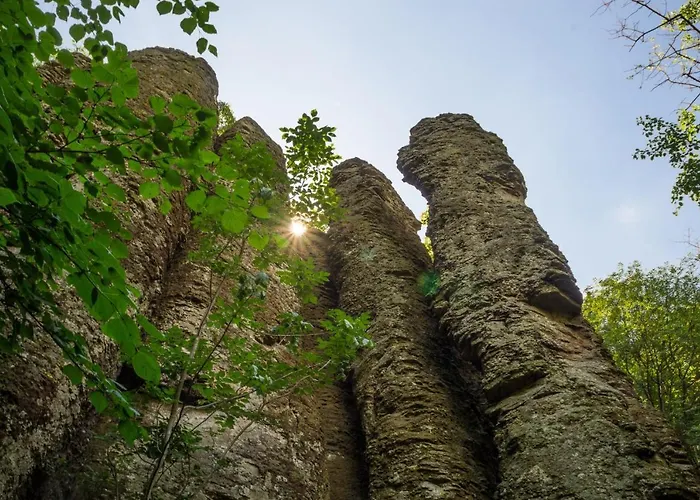 Bazaltorgona דירה Kisapati