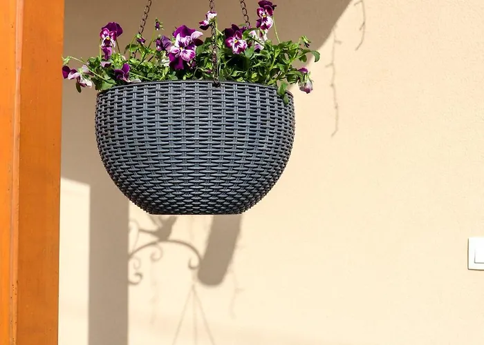 דירה Bazaltorgona