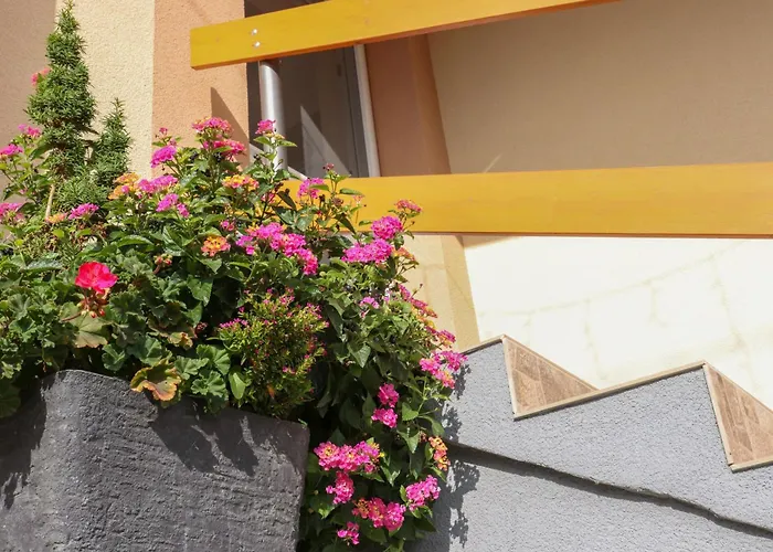 דירה Bazaltorgona *