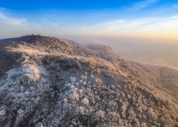 דירה Bazaltorgona *